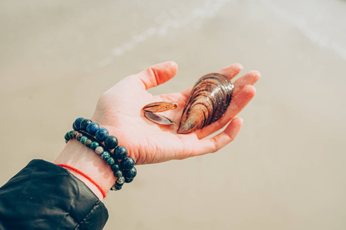 Woman's hand holds a sea shell against the background of the sea. Summer vacation concept